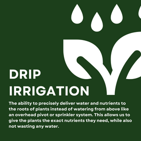 drip-irrigation.png__PID:743f9d38-4e52-413e-b9af-2718335a9e13