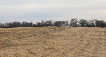 If the Calendar Says March, it's Still Winter on the Farm