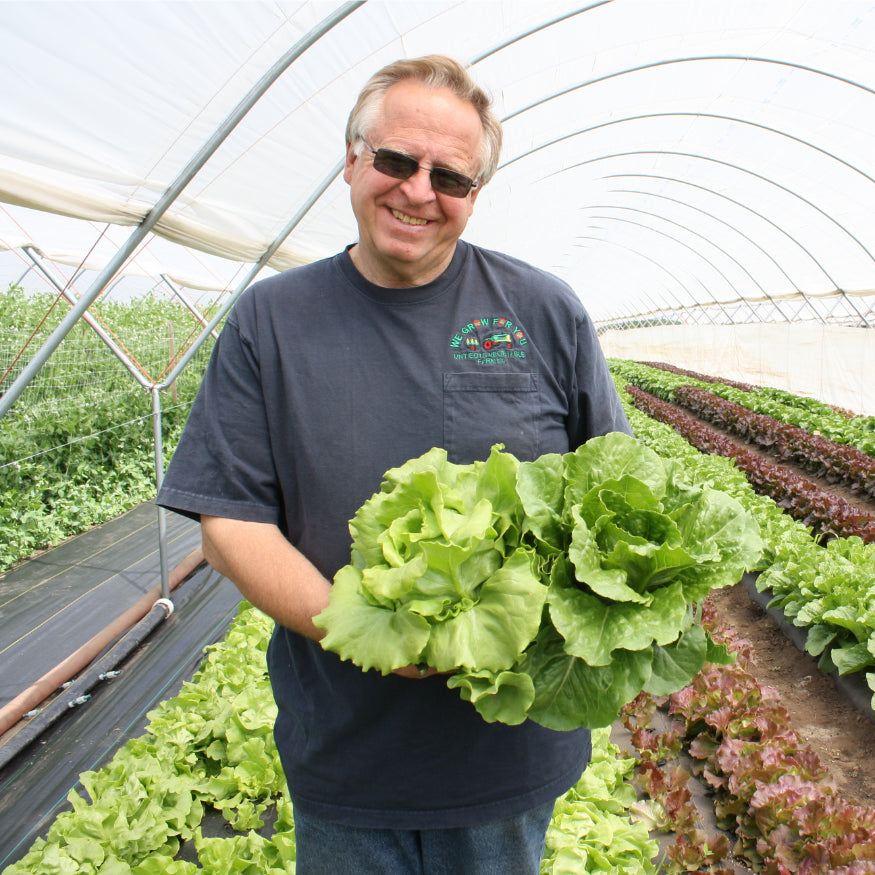 farmer-jerry-with-lettuce.webp__PID:3da1f675-9672-4d62-9fb5-3525f64de15c