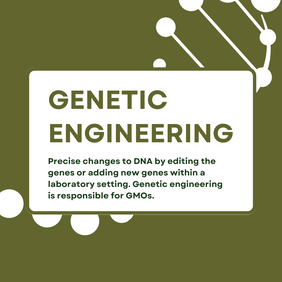 genetic-engineering.png__PID:253c27df-73f0-44d1-87cb-dea8b5377a80