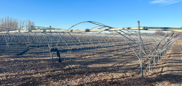 Greenhouse frames