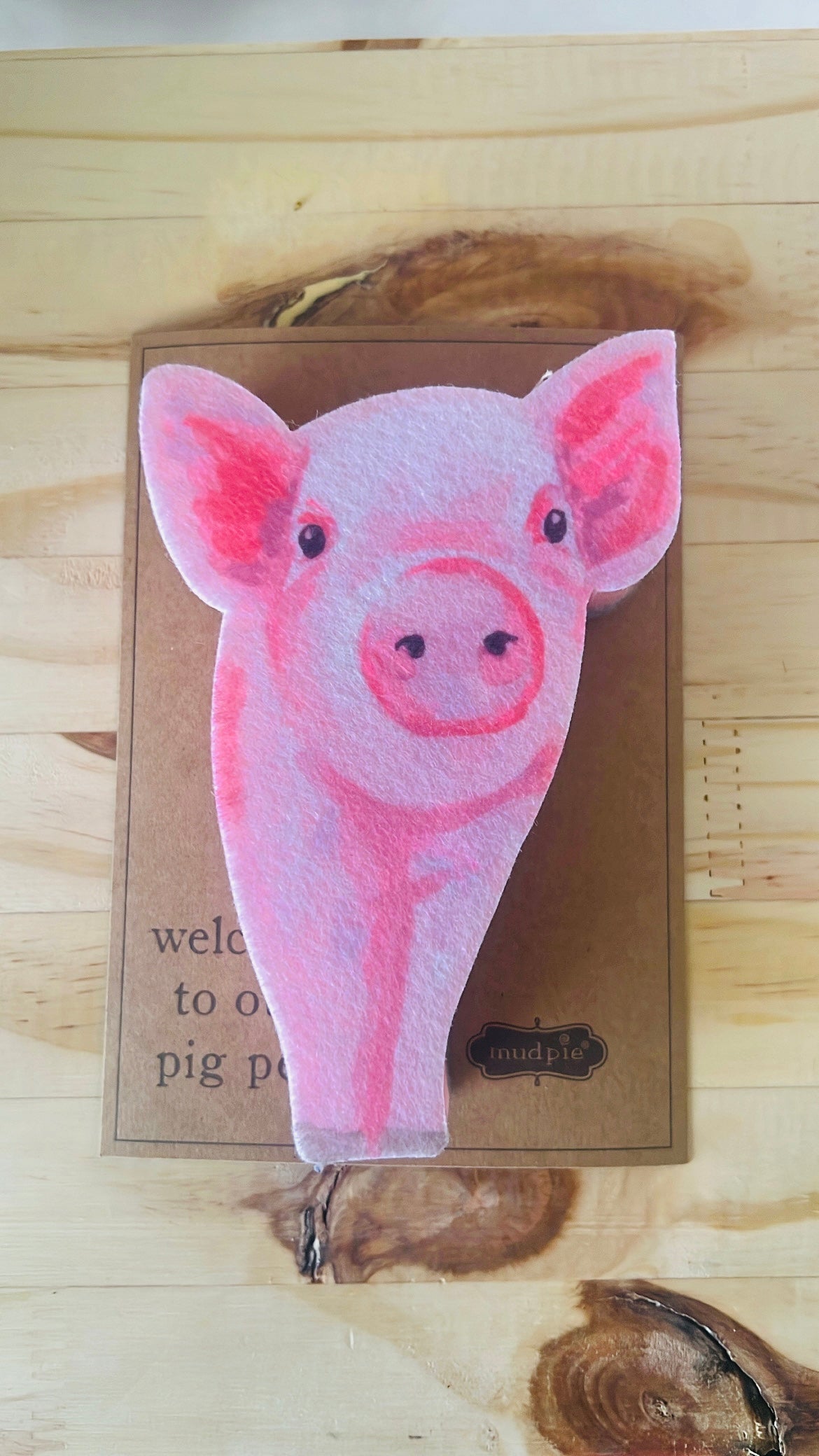 Pig Soap Sponge
