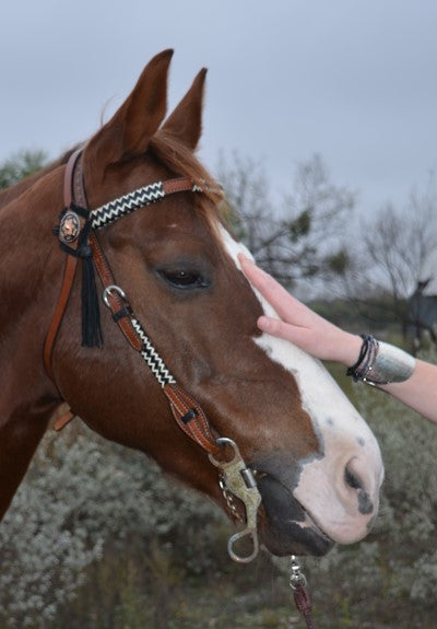 headstall browband 1\