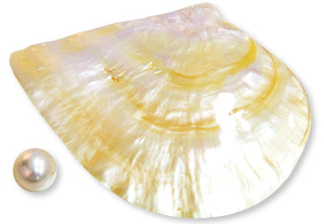 South Sea Pearls