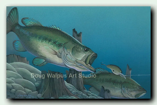 Largemouth bass fish print  Calm Before the Storm – Doug Walpus