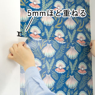 sq_howto5