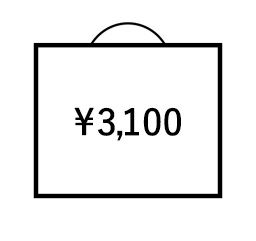 3100円