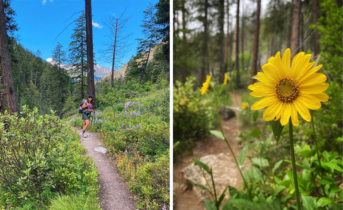 Ingalls Creek - Best wildflower hikes near Seattle Washington