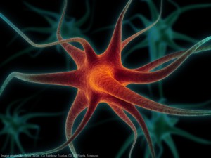 Image of Neuron, related to Melatonin