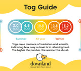 Downland Essential Hollowfibre 10.5 Tog Duvet Image 3
