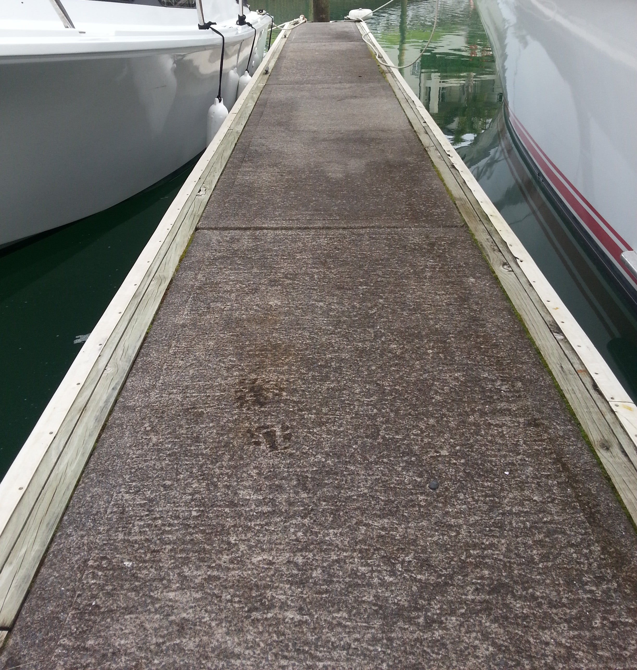 Bio-Shield - Marina Dock with Moss and Black Algae