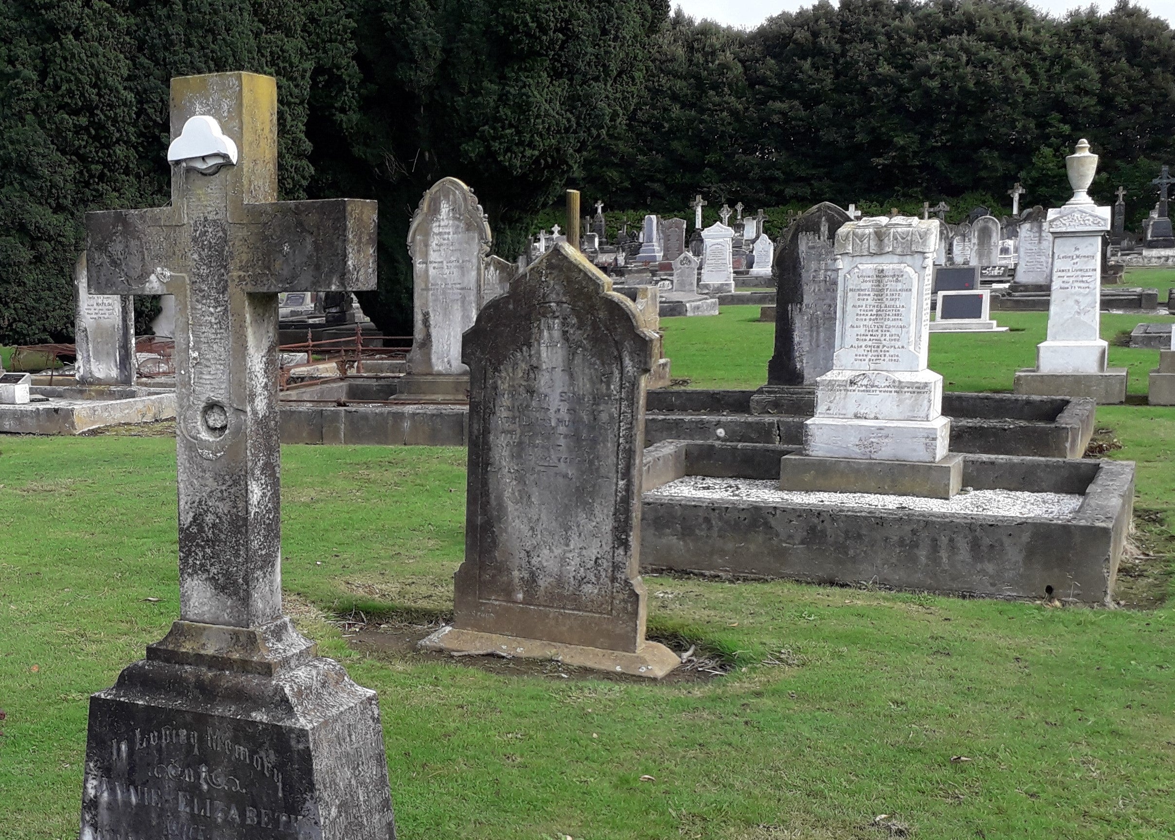 Bio-Shield -  Cleaning Marble Gravestones