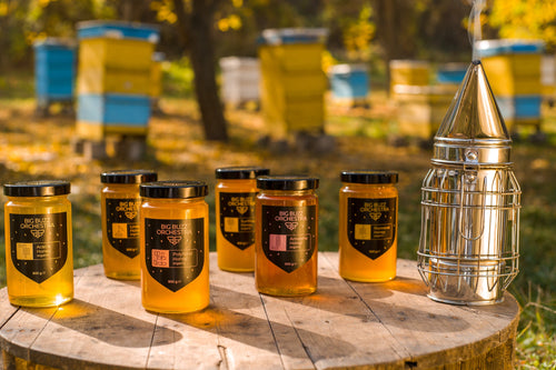 Bloomondo 160 Waterproof Spice Jar … curated on LTK