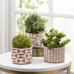 Abstract Print Terracotta Planters