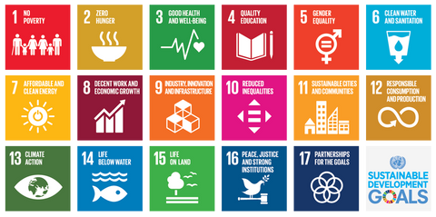 United Nations Sustainable Development Goals