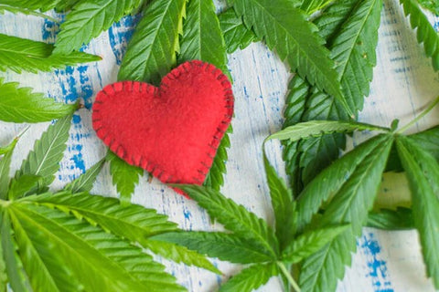 A felt stuffed red heart laying over cannabis leaves on a cloth.