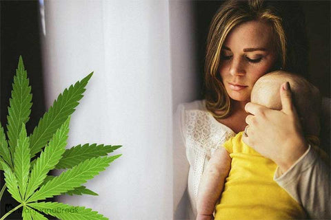 Mother holding baby close to her with a sullen look on her face.  Cannabis leaves next to her.