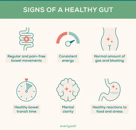 Chart on signs of a healthy gut.