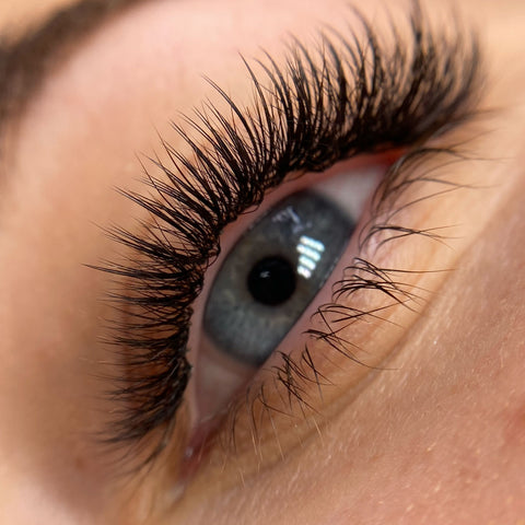 A close up photo of a wet look set of lashes with some fans mixed in