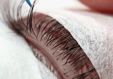 a gif showing the natural lashes taped back, and the tips of a pair of tweezers taking down the bottom layer | London Lash Australia