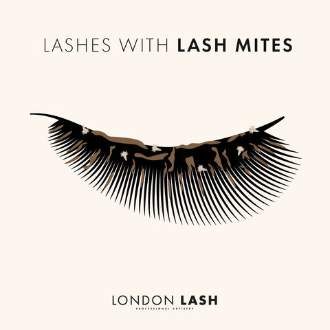 a digital drawing depicting lash mites on eyelashes