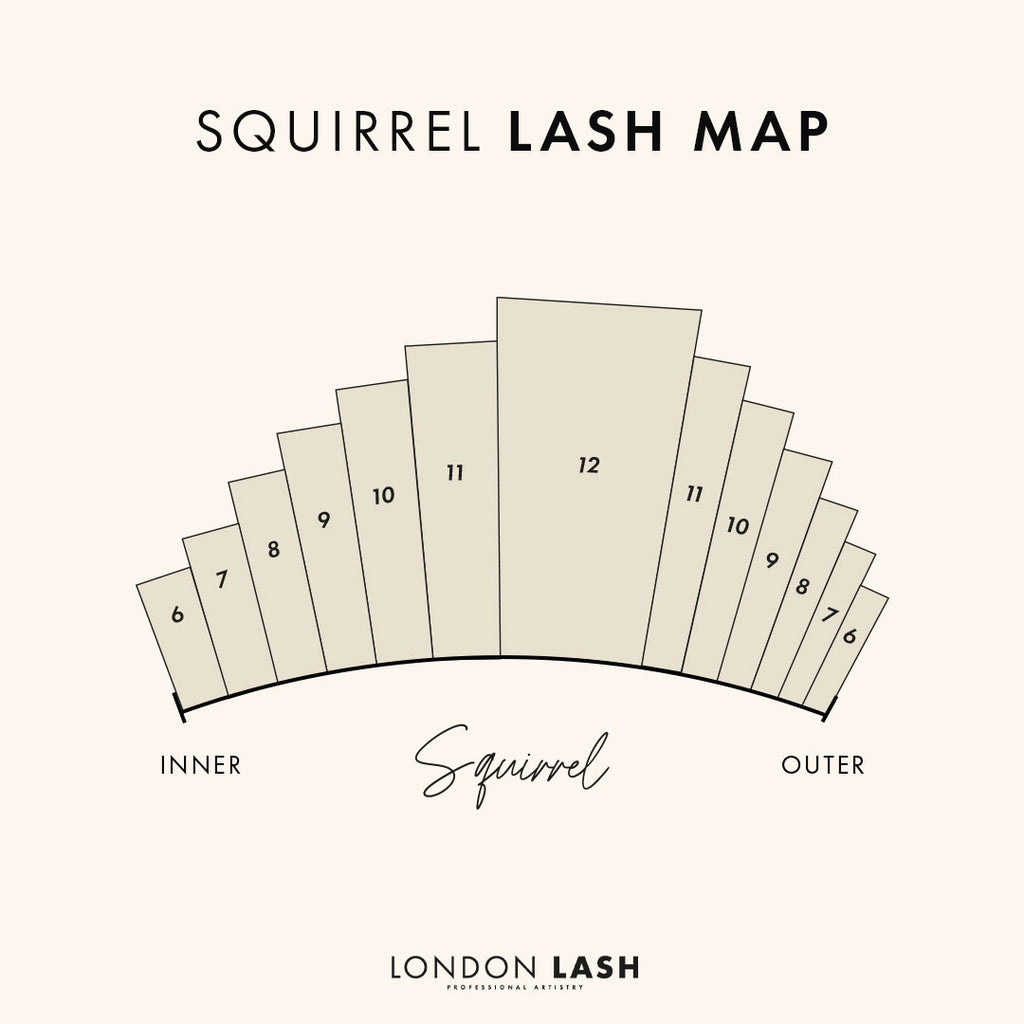 Lash map for eyelash extensions in the style of Squirrel lashes