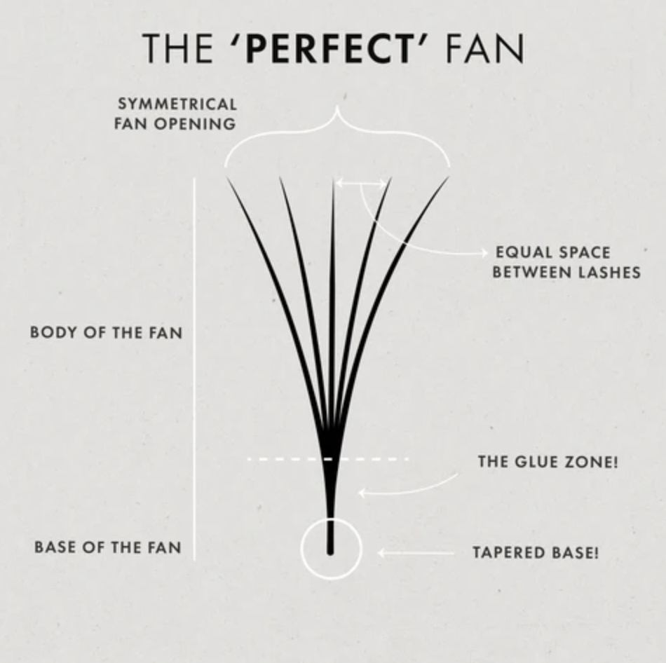 The perfect fan | London Lash Australia