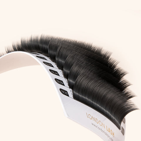 Camellia easy fan lashes from London lash for natural volume lashes