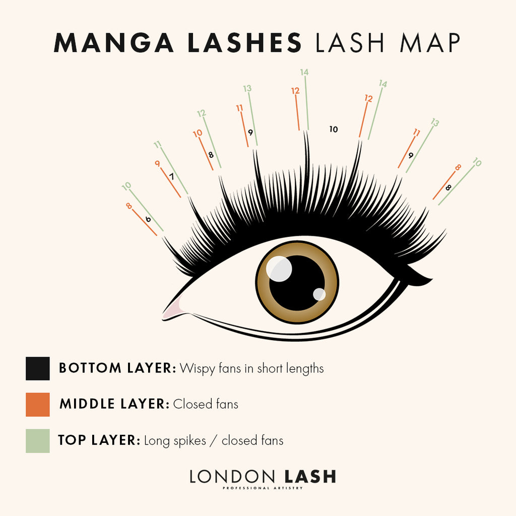 Lash map for eyelash extensions in the style of Manga lashes