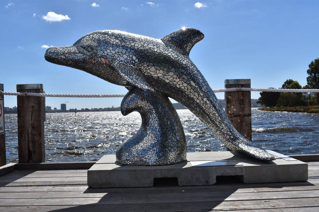 Silver Surfer Dolphin For The Big Splash WA by Alister Yiap