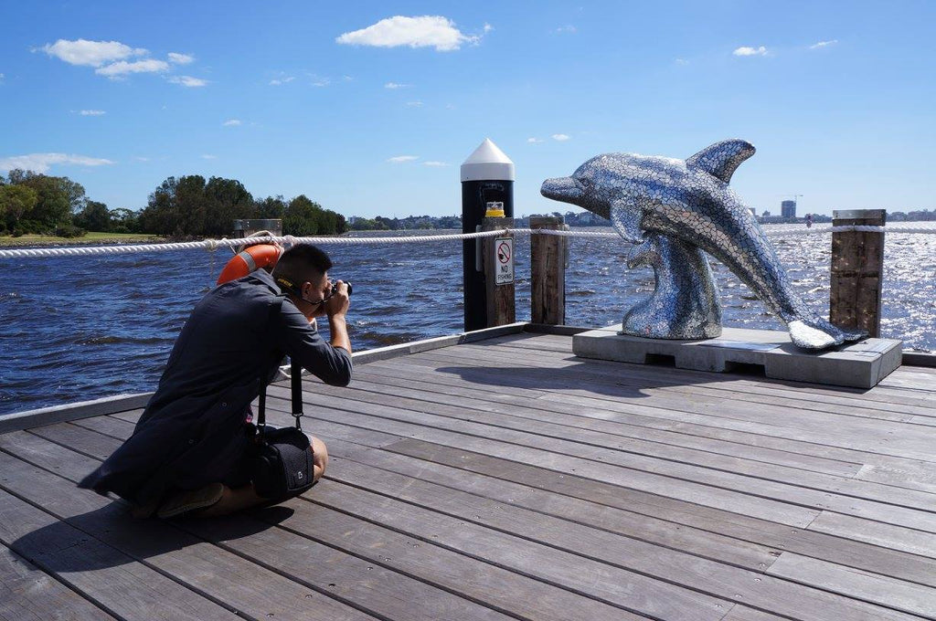 Silver Surfer Dolphin For The Big Splash WA by Alister Yiap