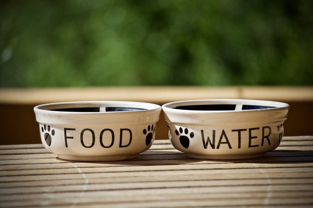 Evcil hayvan yemek ve su kapları