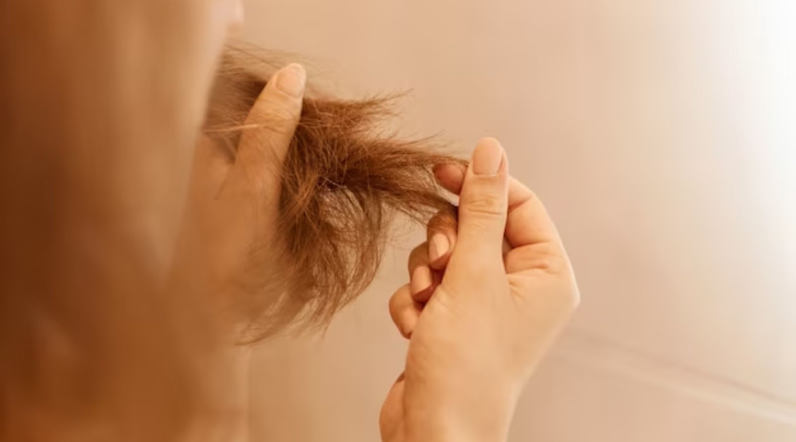 Signs of Dry Hair