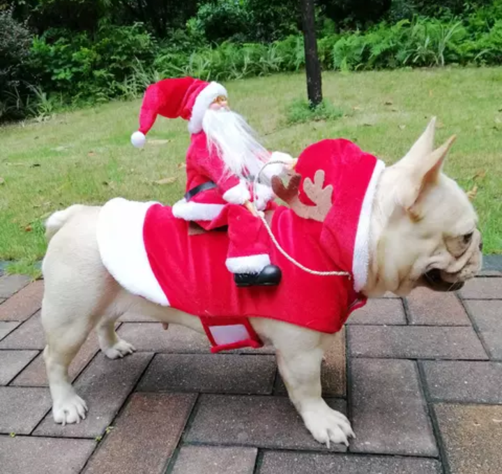 Dog Christmas Clothes Santa Claus Costume Holiday Dressing Up For Smal –  Moshas