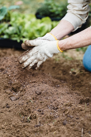 How to prevent dry damaged nails when gardening