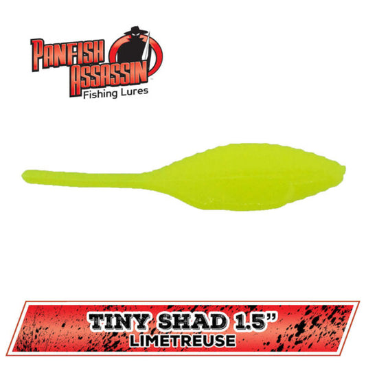 Bass Assassin Swim Bait 2 10ct – Nibrico Marine