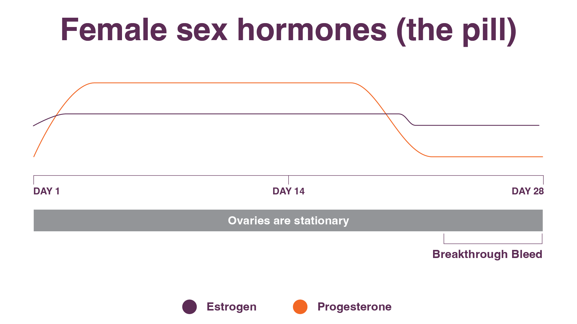 seed-cycling-seed-cycl-blend-hormones-on-the-pill-graph