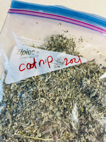 A ziploc bag filled with homegrown catnip.