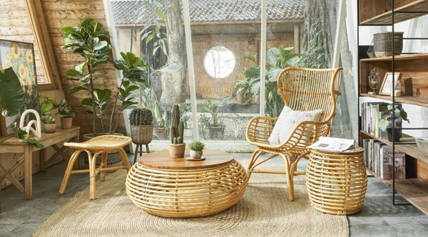 rattan is greatest environmentally friendly materials
