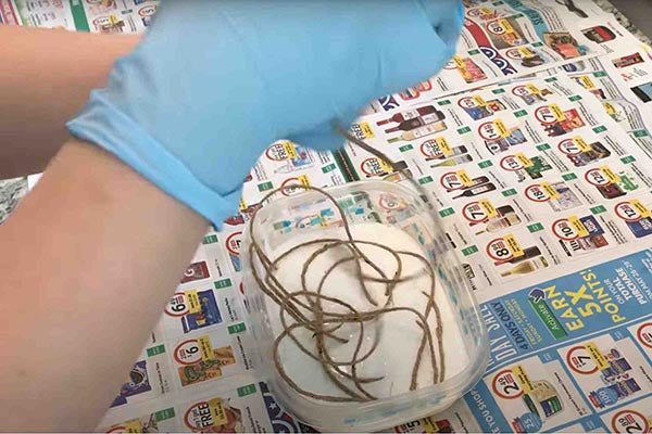 soak the jute twine in the glue mixture