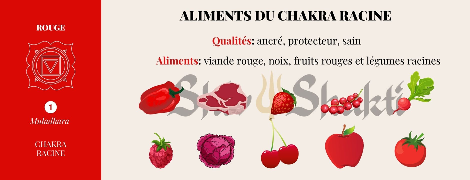 aliments du chakra racine