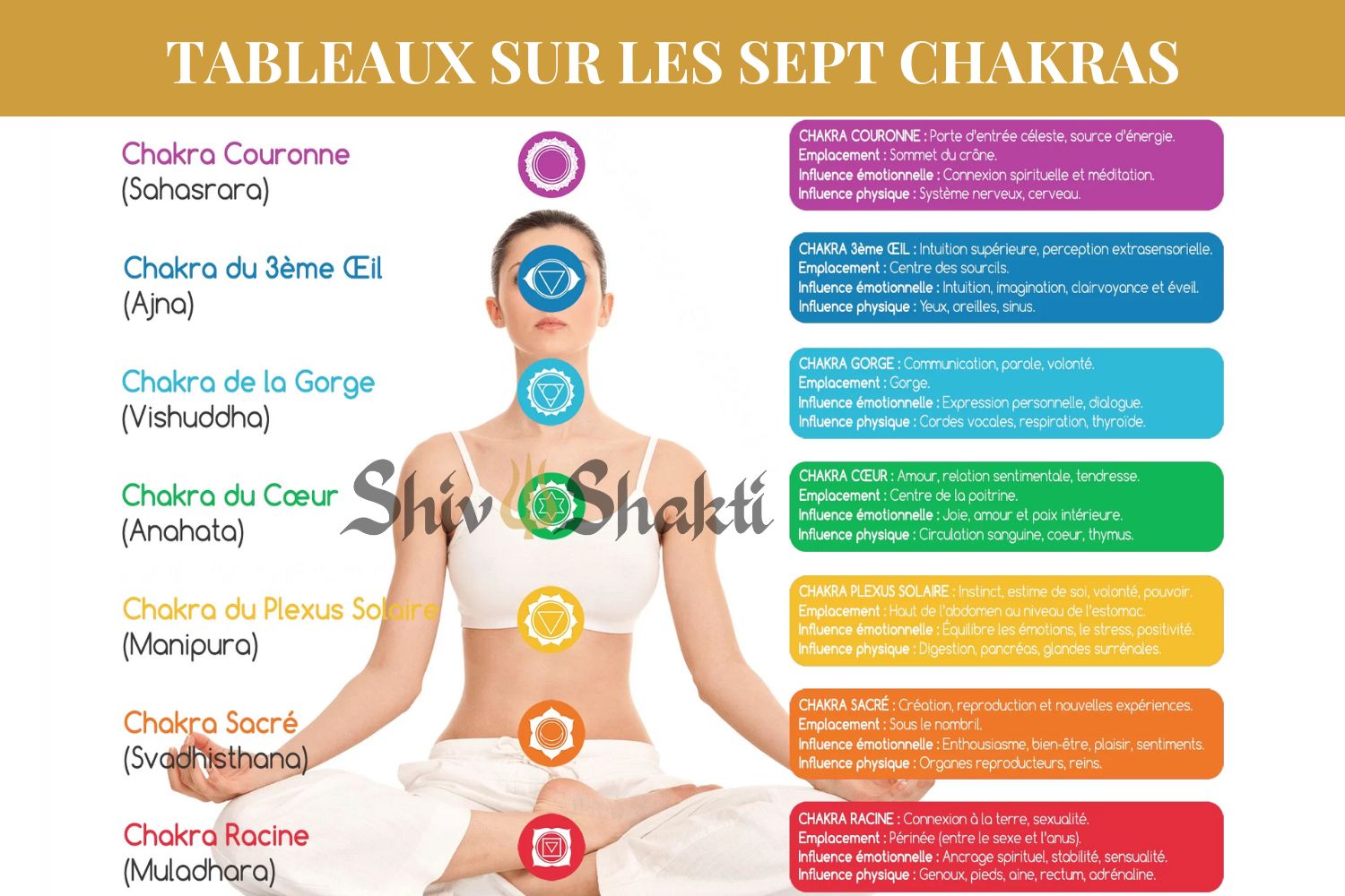 tableau sept chakras 