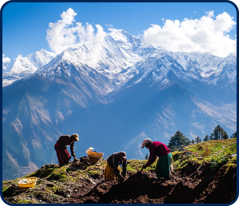 Problem with Shilajit Image 02.png__PID:946288e2-2cc3-49a3-b509-b51dd4a9761e