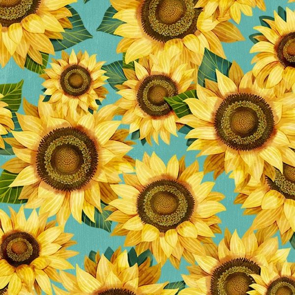 Sunflowers, gallery 03