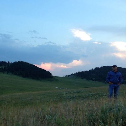 Howling Wolves Montana Turner Ranch