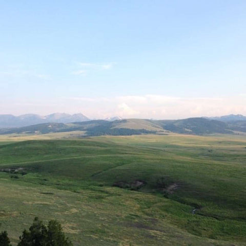 Flying D Ted Turner Ranch