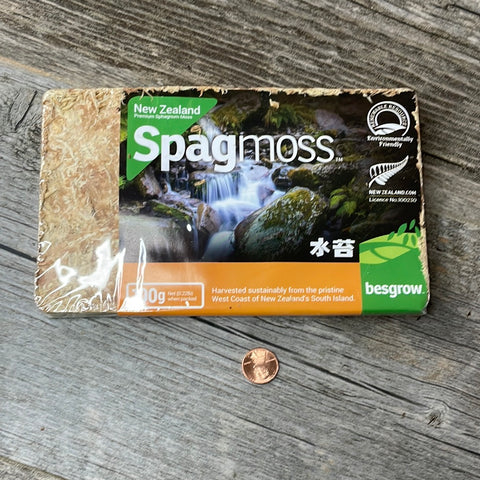 Spagmoss Premium New Zealand Sphagnum Moss AA Grade (100 Gram