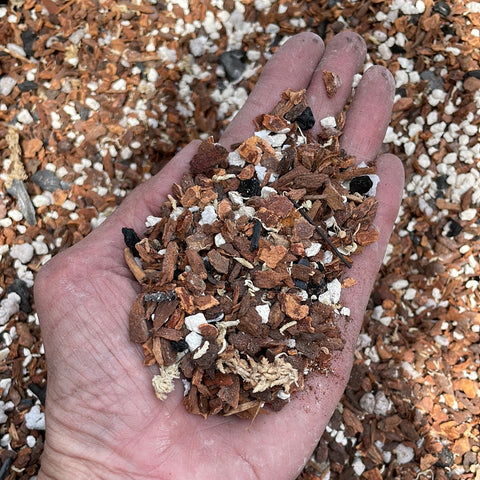New Zealand Sphagnum Moss - Classic AA+ 500 grams – QuarterAcreOrchids