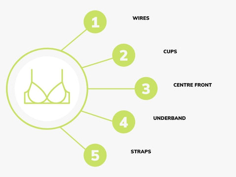 Bra Fitting Guide – The Fitting Service