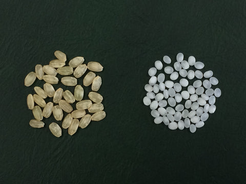 精米する前の玄米と精米後の白米